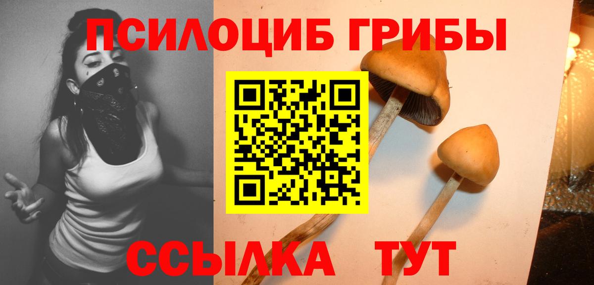 Псилоцибиновые грибы Psilocybine cubensis  Вход с VPN  Каменка 